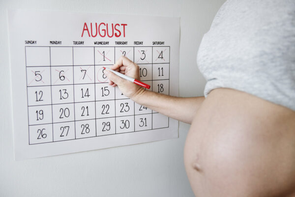 Ecografía de las 12 semanas: qué se ve del bebé